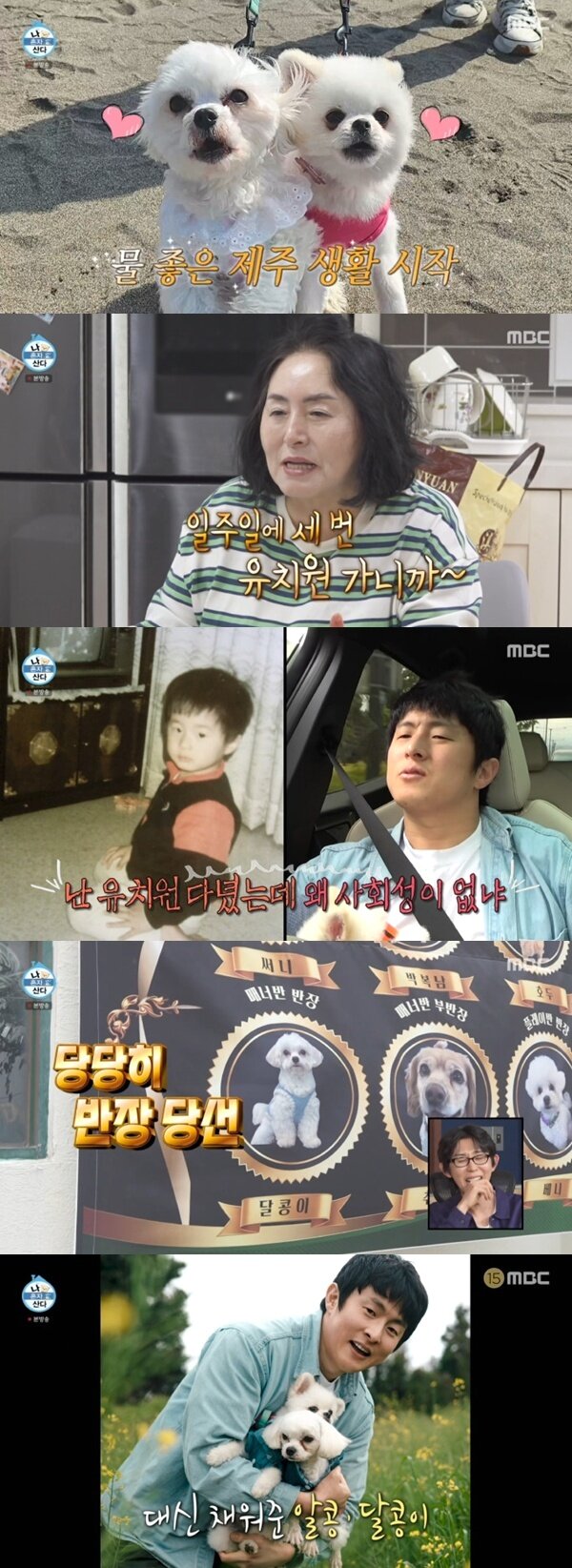 본문 이미지 - MBC '나 혼자 산다' 캡처
