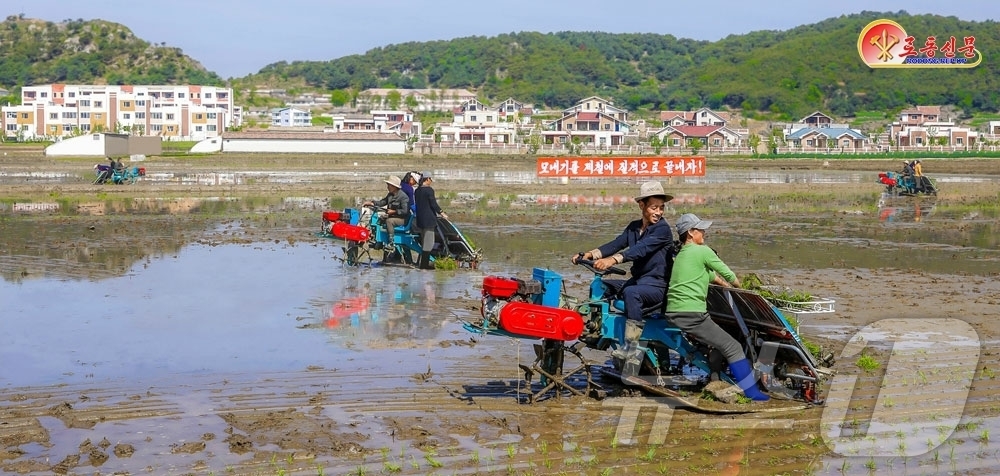 (평양 노동신문=뉴스1) = 북한 노동당 기관지 노동신문은 23일 곽산군은 모내기 계획을 매일 1.3배로 넘쳐 수행했으며 22일 기준 모내기 실적이 60％계선에 이르게 됐다고 보도 …
