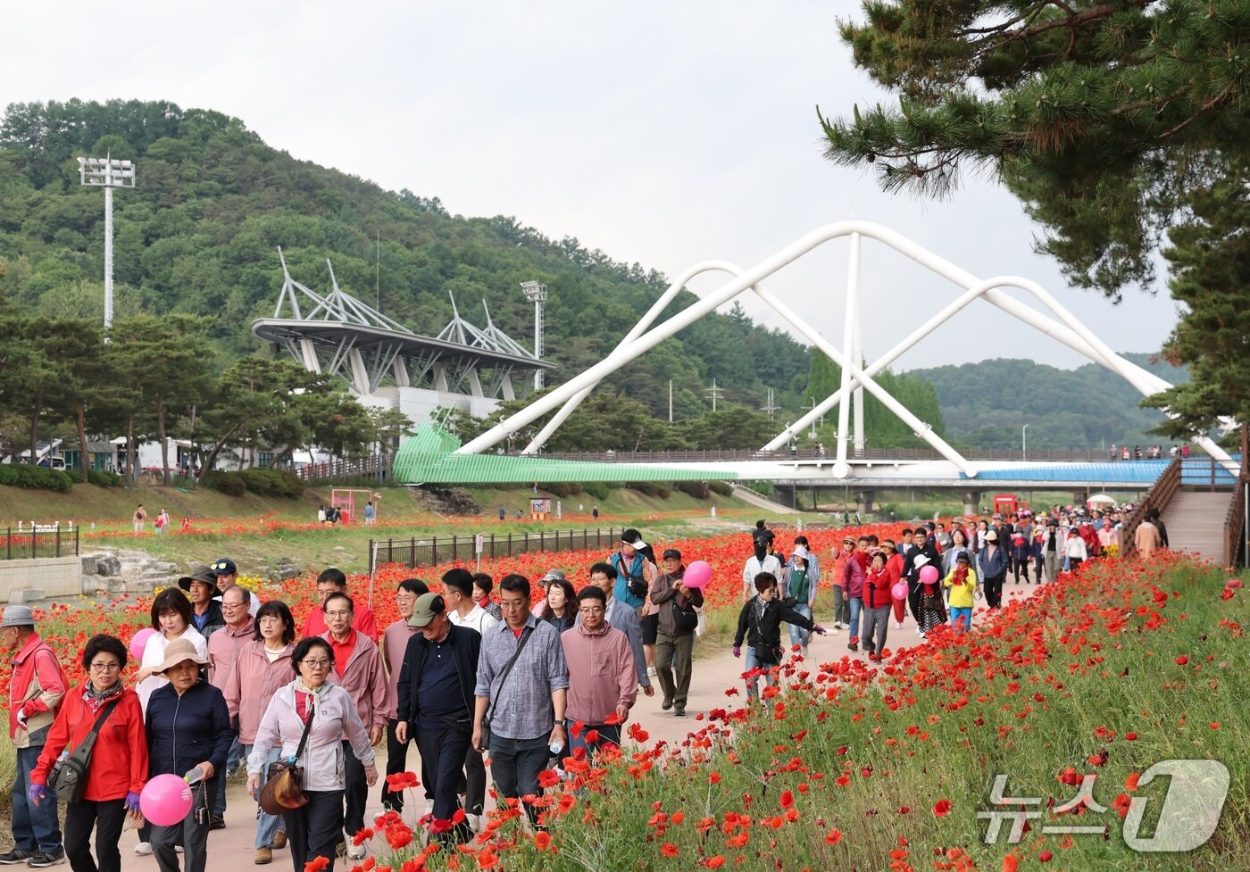 본문 이미지 - 23일 괴산 동진천변 꽃길을 따라 관광객과 주민들이 걷고 있다.(괴산군 제공. 재판매 및 DB금지)/뉴스1