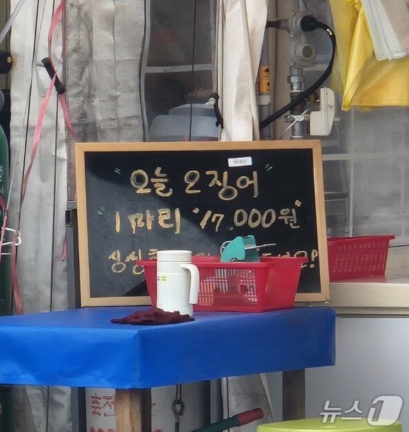 본문 이미지 - 부처님오신날 연휴 첫날이었던 지난 23일 강원 속초지역 대표 먹거리촌인 동명동 오징어난전의 한 점포에 입구에 이날 오징어 1마리 가격을 알리는 문구가 적혀있다. 2026.5.23/뉴스1 윤왕근 기자