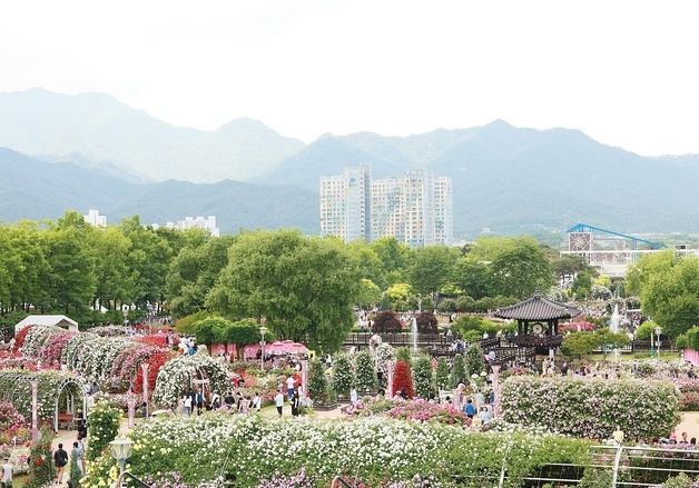 곡성세계장미축제 개막 4일 만에 14만명 방문…전년비 3만명↑