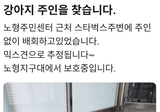 길 잃고 헤메던 강아지, 배달기사·경찰 도움으로 주인 찾아