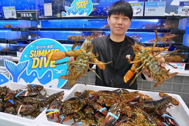 "랍스터 15만마리 풀린다"…롯데마트, 캐나다산 활랍스터 반값에
