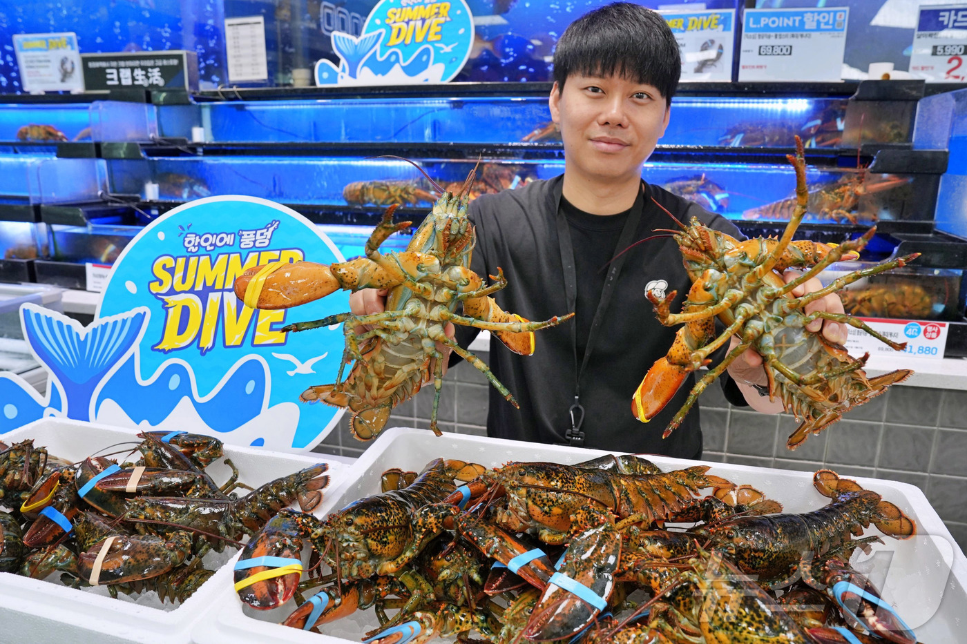 (서울=뉴스1) = 롯데마트는 오는 28일까지 '캐나다산 활랍스터'를 최대 50% 할인 판매한다고 27일 밝혔다. 사진은 모델이 롯데마트 제타플렉스 잠실점 수산 코너에서 '캐나다산 …
