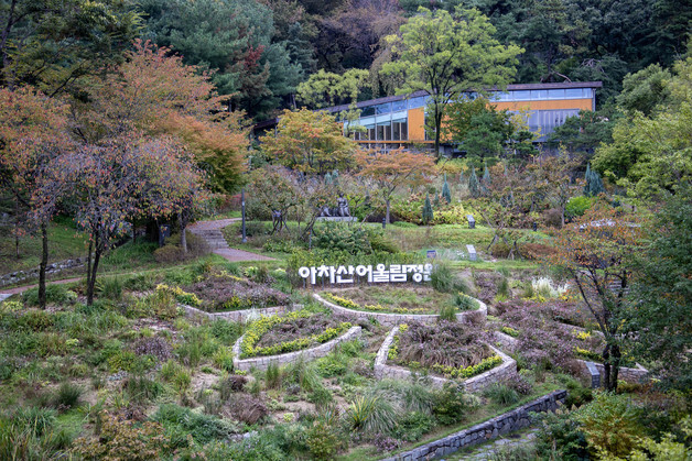 광진구, 산림치유서비스 실증사업 선정…"자연친화 건강프로그램 추진"