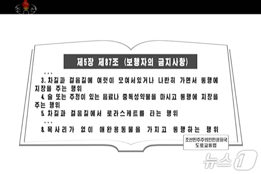 본문 이미지 - 조선중앙TV에 소개된 도로교통법 개정안 중 '보행자의 금지사항'에 관한 내용.(조선중앙TV 갈무리).