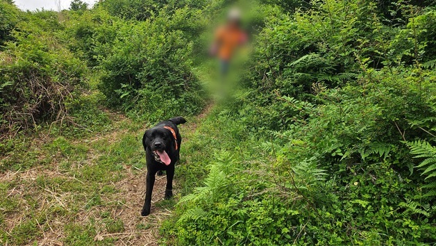 "멍멍, 찾았다"…고사리 따다 길 잃은 2명 구한 영웅견 '나르샤'