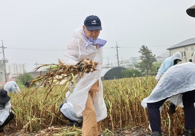 [오늘의 주요 일정] 제주(28일, 목)