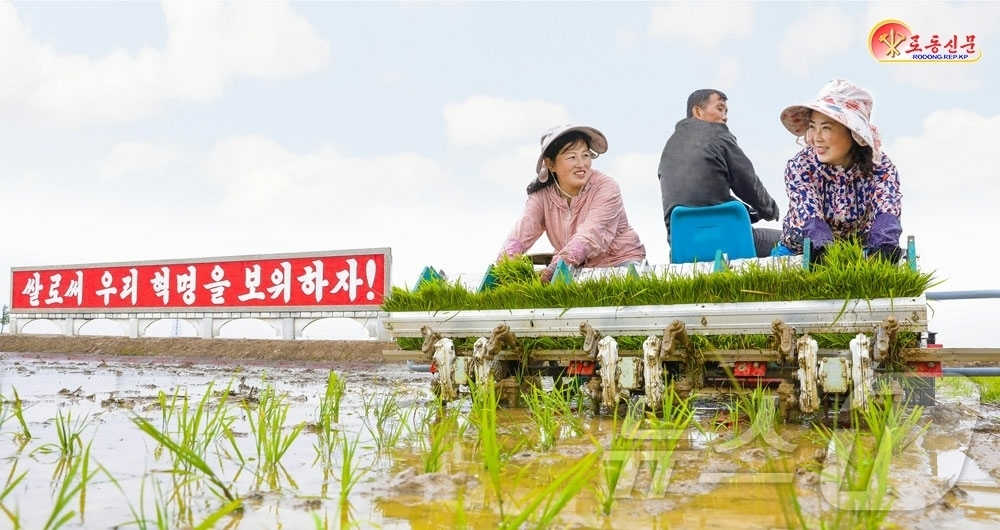 (평양 노동신문=뉴스1) = 북한 노동당 기관지 노동신문은 평안북도 룡천군을 비롯한 각지 농촌에서 모내기가 진행되며 27일 기준 전체 실적이 75%를 넘어섰다고 28일 보도했다.[ …