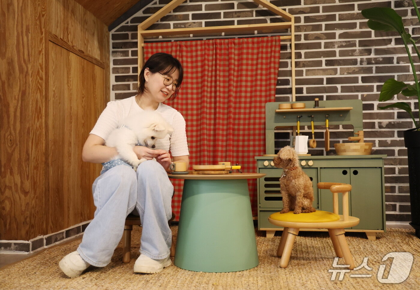 본문 이미지 - 숙박대전 반려동물 펜션 모습(태안군 제공. 재판매 및 DB금지)2026.5.28/뉴스1