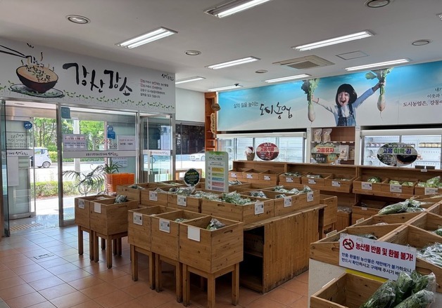 강동구, 친환경 농산물 공급 '싱싱드림' 호응…"가격 부담 낮췄다"