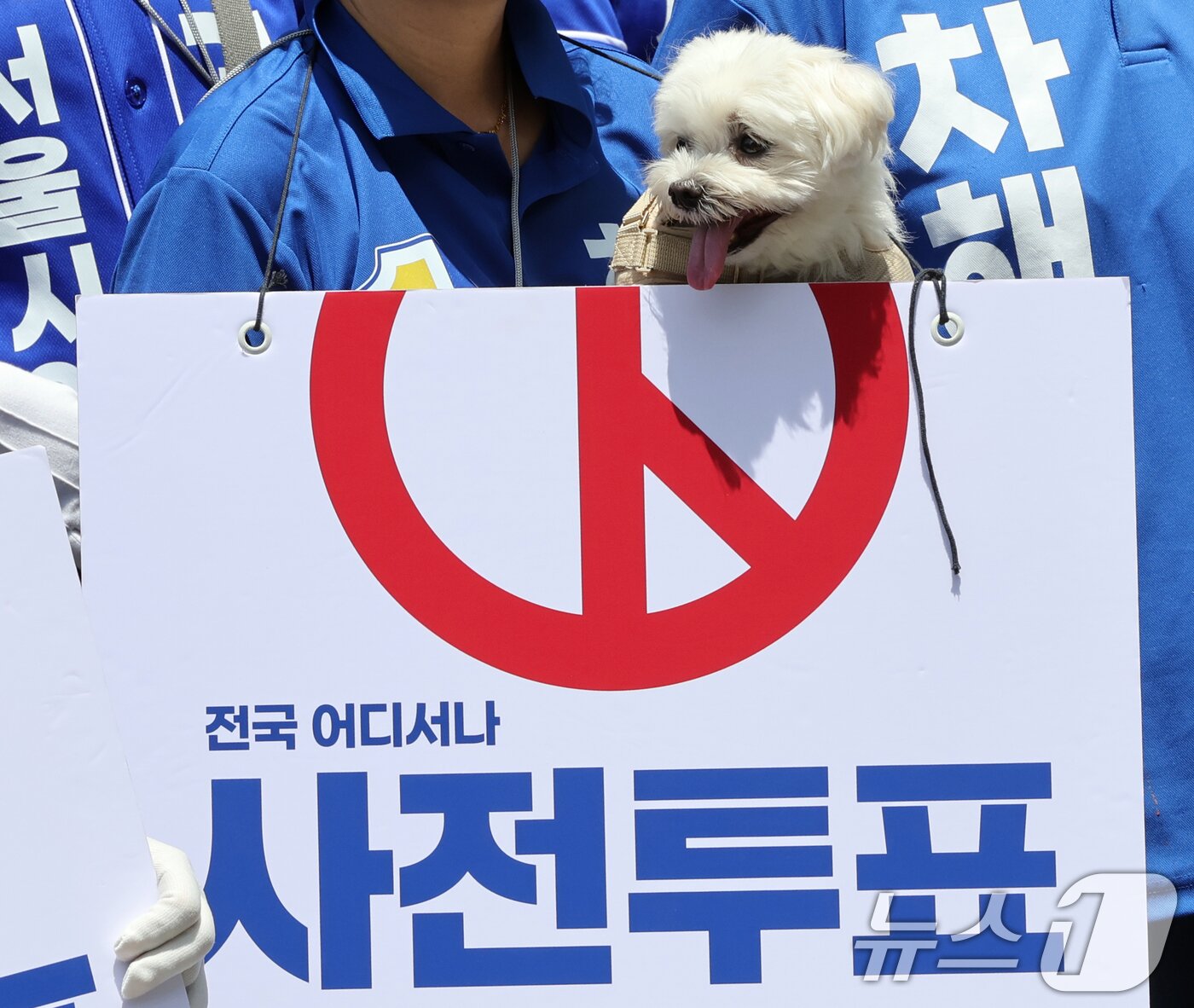 본문 이미지 - 제9회 전국동시지방선거와 국회의원 재보궐선거 사전투표를 하루 앞둔 28일 오후 서울 마포구 망원역 앞에서 더불어민주당 선거운동원이 반려견과 함께 사전투표를 독려하고 있다. 2026.5.28 ⓒ 뉴스1 황기선 기자