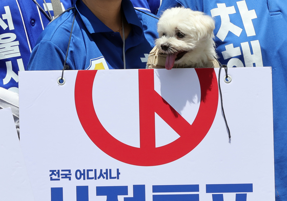 '댕댕이도 투표 독려'