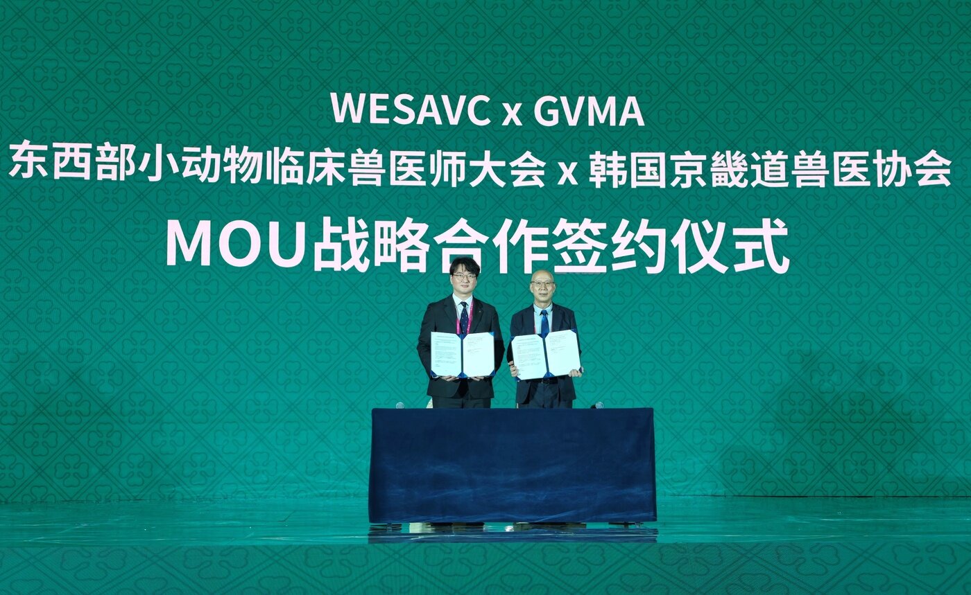 본문 이미지 - 제18회 중국 동서부소동물임상수의학대회(WESAVC)가 열렸다(수의사회 제공). ⓒ 뉴스1