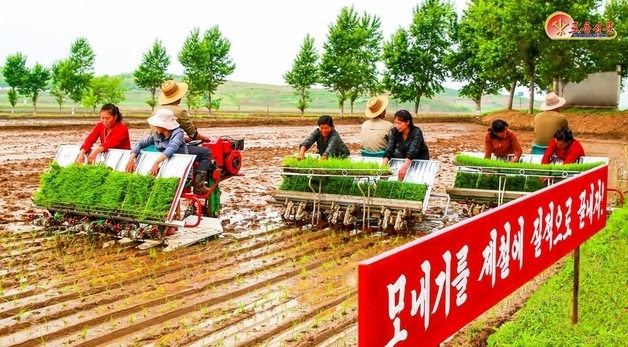북한, 모내기철 맞아 농사 성과 독려…지방발전 정책 선전[데일리 북한]