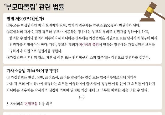 '부모따돌림'은 정신적 아동학대…"단독 친권·양육 관행 벗어나야"