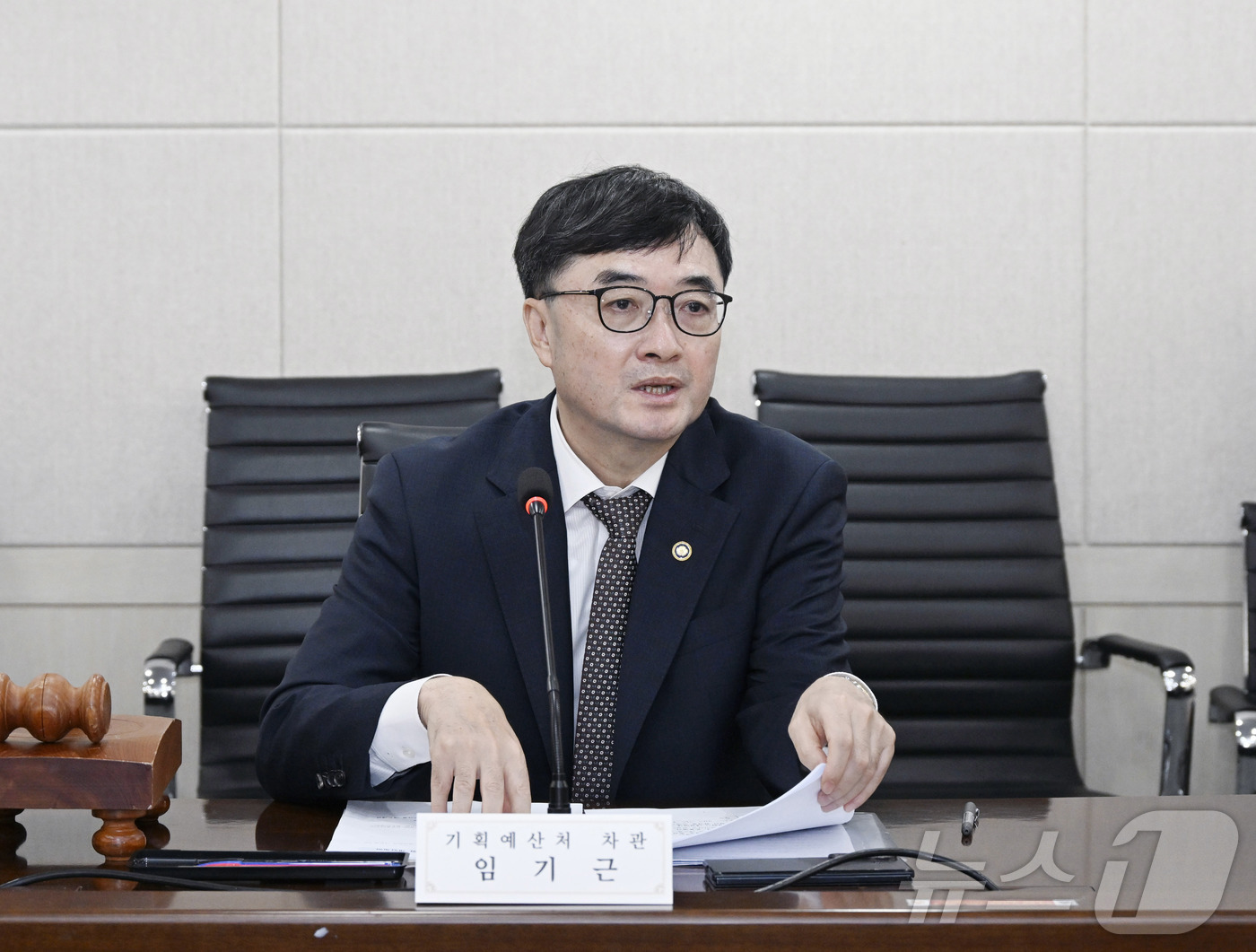 (서울=뉴스1) = 임기근 기획예산처 차관이 29일 오전 서울 중구 한국재정정보원에서 열린 '제3차 부담금운용심의위원회'에서 발언을 하고 있다. (기획예산처 제공. 재판매 및 DB …