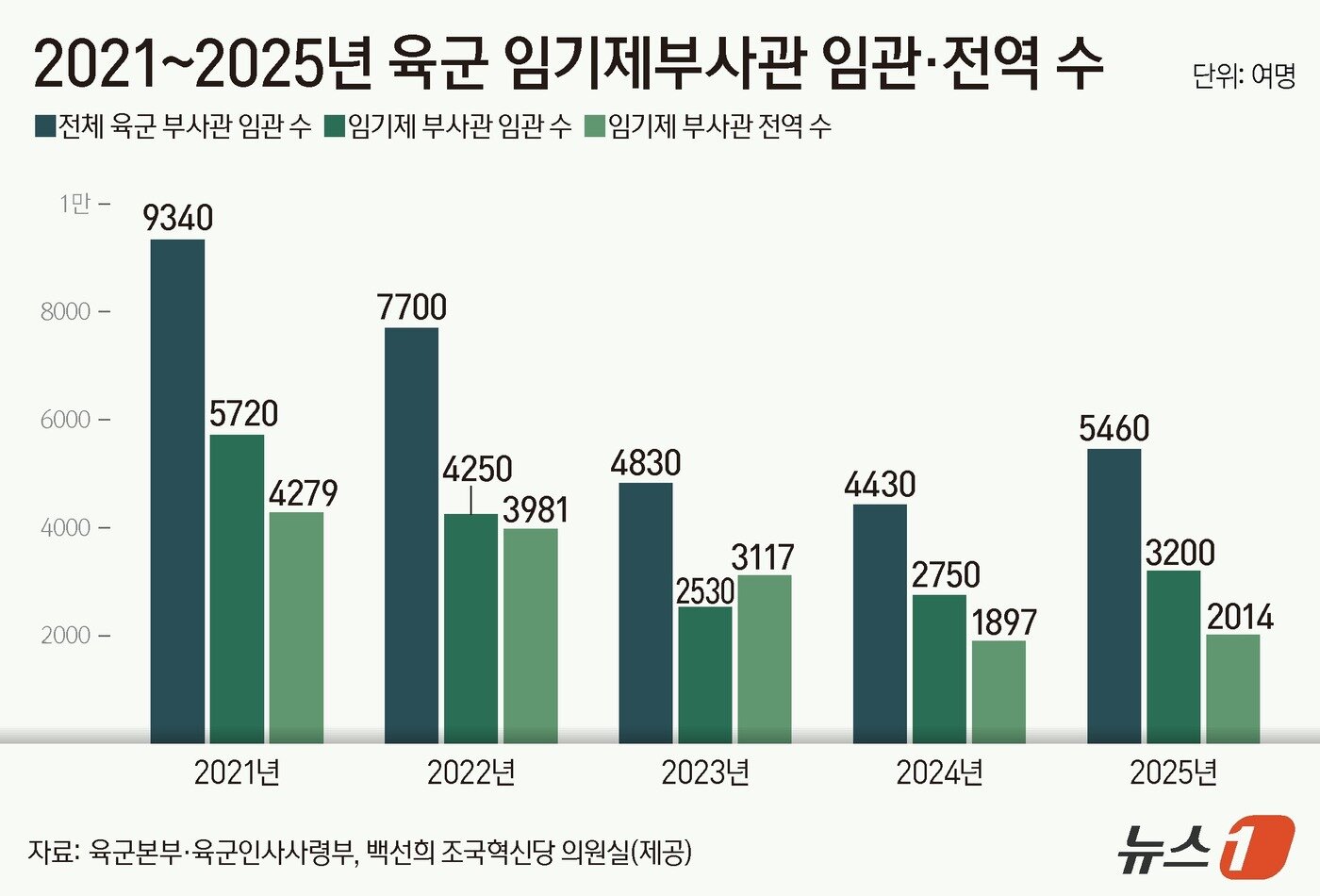 본문 이미지 - ⓒ 뉴스1 김지영 디자이너