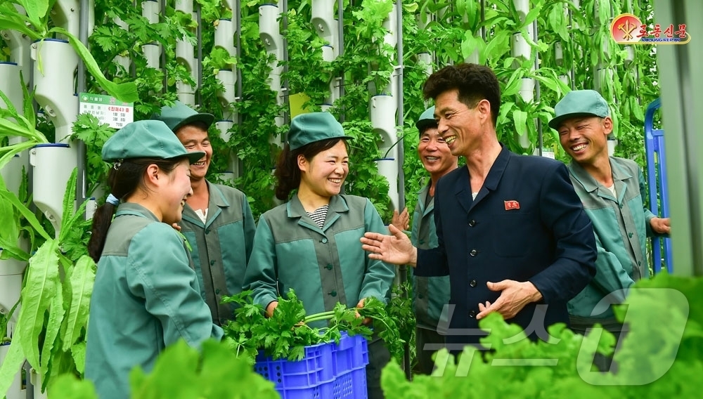 (평양 노동신문=뉴스1) = 북한 노동당 기관지 노동신문은 30일 "종업원들이 맡은 일을 책임적으로 해나가도록 이끌어주고 있다"며 신의주남새(채소)과학연구중심을 조명했다. [국내에 …