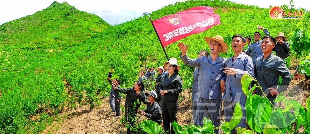 (평양 노동신문=뉴스1) = 북한 노동당 기관지 노동신문은 30일 "푸르른 뽕밭 속에서 3중 모범청년작업반 깃발을 휘날리며 서있는 만포시잠업농장 청년작업반원들의 얼굴마다에 노동의 …