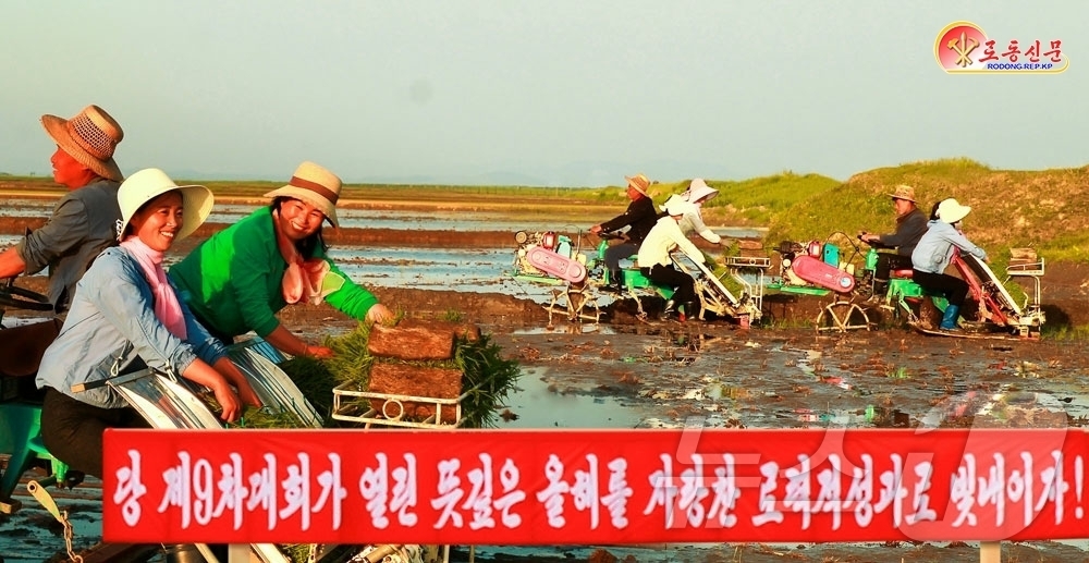 (평양 노동신문=뉴스1) = 북한 노동당 기관지 노동신문은 31일 전국 농업부문 일꾼(간부)들과 근로자들의 기세가 날로 고조되고 있다고 보도했다. [국내에서만 사용가능. 재배포 금 …
