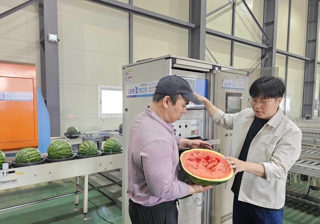 쿠팡, AI 선별 시스템 확대로 당도·신선도 높은 과일 새벽배송