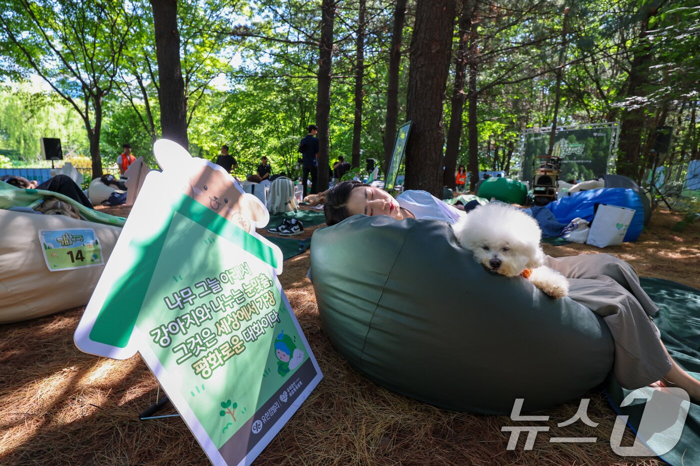 본문 이미지 - 31일 서울 성동구 서울숲에서 열린 유한킴벌리 우리강산 푸르게 푸르게 2026 숲속 개꿀잠대회에서 반려견과 견주들이 잠을 자고 있다. 2026.5.31 ⓒ 뉴스1 안은나 기자