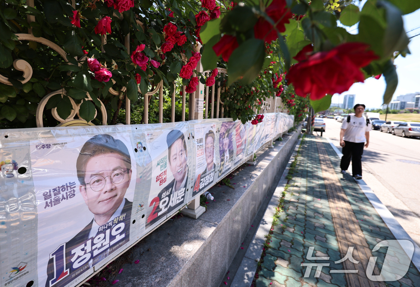 (서울=뉴스1) 구윤성 기자 = 제9회 전국동시지방선거일을 사흘 앞둔 31일 한 시민이 서울 송파구 풍납동 일대에 붙은 선거벽보 앞을 걷고 있다. 2026.5.31/뉴스1