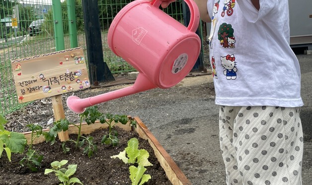 대구 달성군 드림스타트, 사례관리 가족 대상 '마음이 자라는 텃밭' 운영