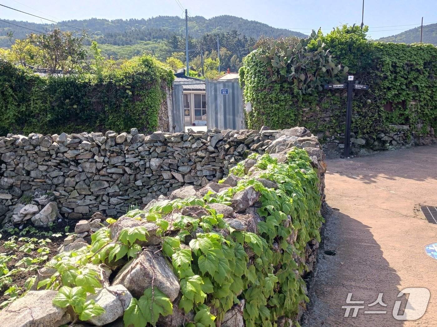본문 이미지 - 상동리 상서마을은 마을 전체가 돌담으로 이뤄져 바람 많은 섬에서 꿋꿋이 세월을 버텨내고 있다.  2011년 국립공원 명품마을로 지정됐는 데, 마을 위 논은 3억 5000만년 전 모습을 그대로 간직한  멸종위기 2급 희귀생물인 긴꼬리 투구새우가 발견됐을 정도로 청정한 자연을 자랑한다.