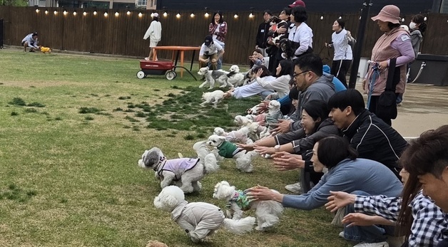 "진료실 밖에서 만났다"…라라동물의료원, 개린이날 특별 행사
