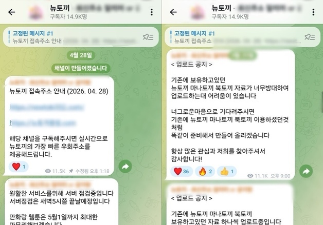 "제2의 뉴토끼 끝까지 쫓는다"…방미심위, 텔레그램과 공조