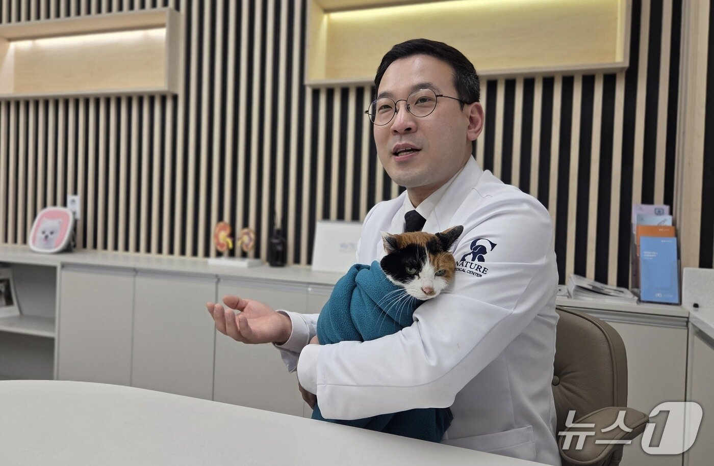 본문 이미지 - 송우진 시그니처동물의료센터 원장이 진료실에서 고양이를 안고 인터뷰를 하고 있다. ⓒ 뉴스1 한송아 기자