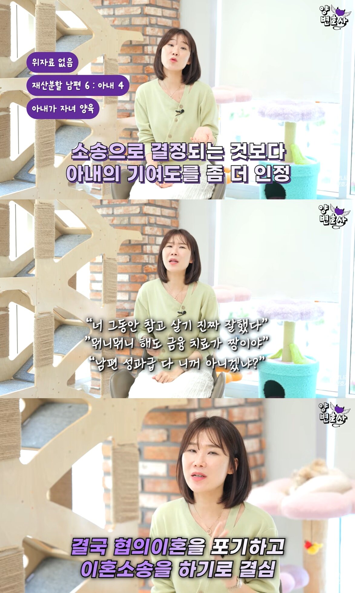 본문 이미지 - (유튜브 '양나래 변호사' 갈무리)