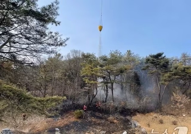 제천시 "산불 낸 2명 처벌하고, 불법 소각 8건에 과태료 부과"