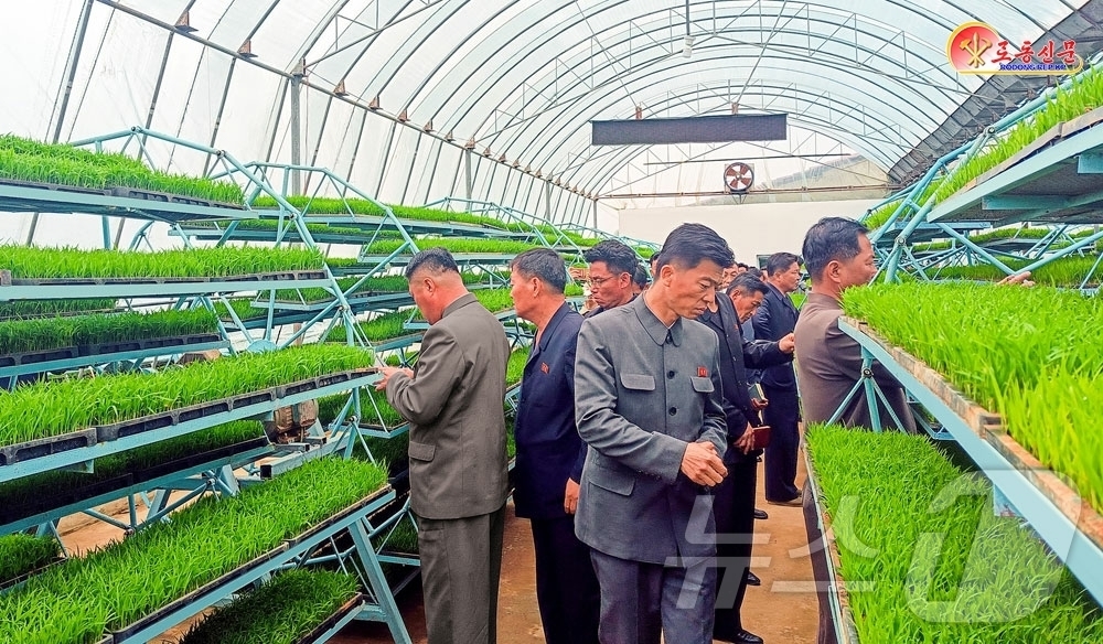 (평양 노동신문=뉴스1) = 북한 노동당 기관지 노동신문은 5일 "전국농업부문 일꾼들을 위한 모내기와 밭작물 비배관리 기술전습회가 진행됐다"면서 "알곡 생산 목표 달성과 농업 생산 …