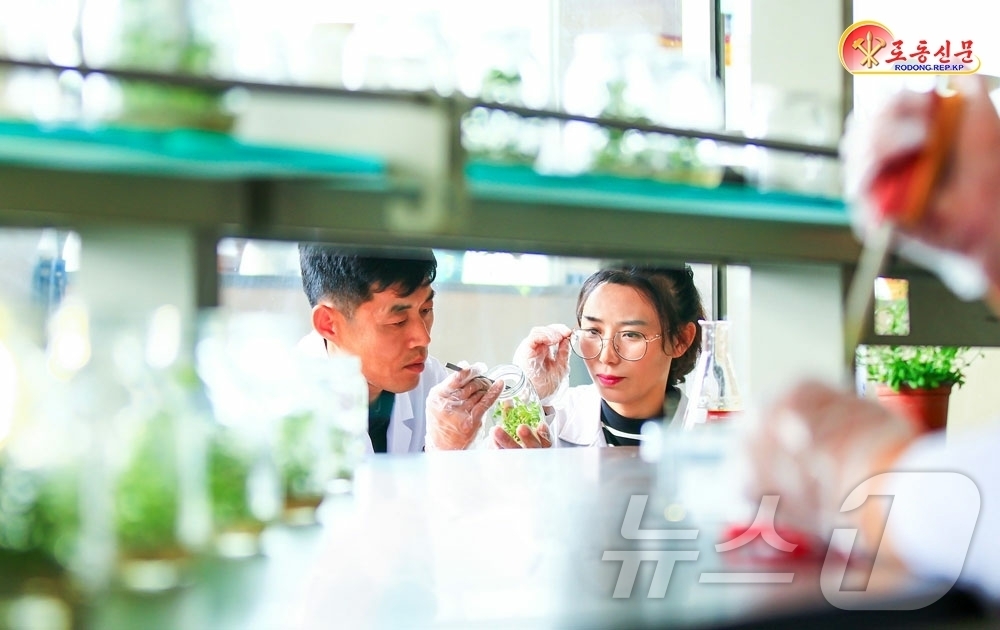 (평양 노동신문=뉴스1) = 북한 노동당 기관지 노동신문은 6일 국가과학원 생물공학분원 식물유전자공학연구소에서 "가치 있는 연구 성과를 이룩하기 위해 노력하고 있다"라고 선전했다. …