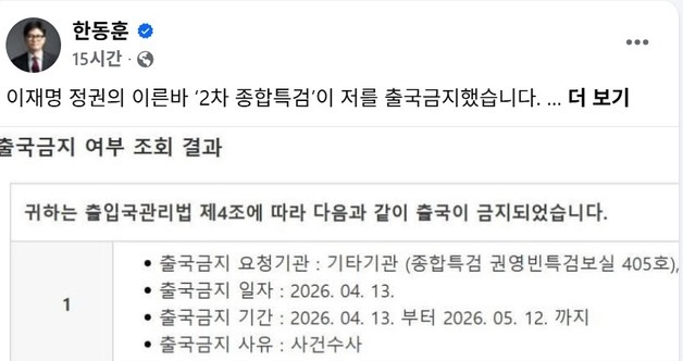 배현진 "한동훈 12일까지 출국금지?…특검 뉴스도 안 보냐, 출마로 부산 있는데"
