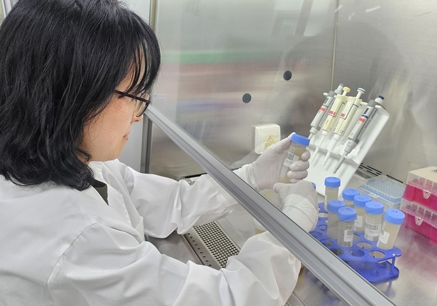 전북 서해안서 올 첫 '비브리오패혈증균' 검출…전년보다 2주 늦어