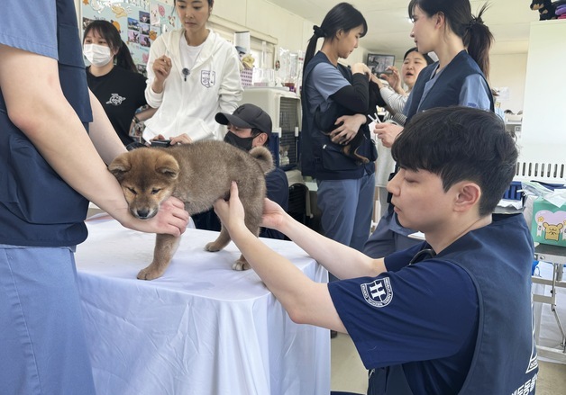 "지역과 함께하는 돌봄 실천"…해든동물의료센터, 보호소 의료봉사