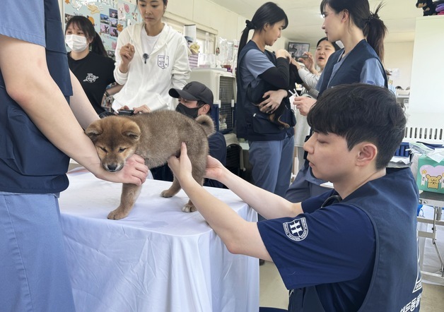 많이 본 뉴스