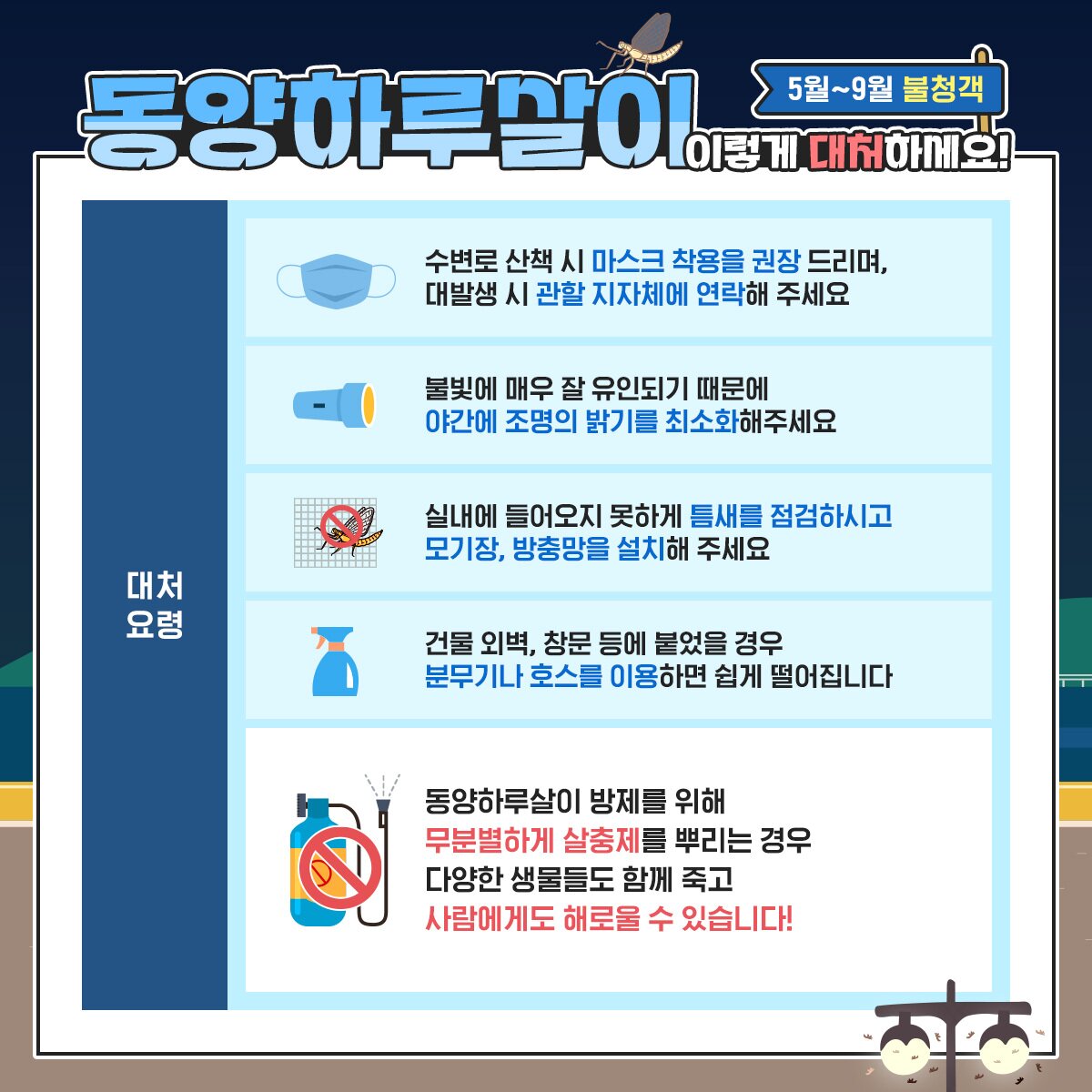 본문 이미지 - 동양하루살이 대처요령