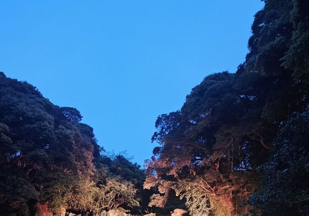 천지연폭포 야간관람 재개…11일 무료 개방·점등식