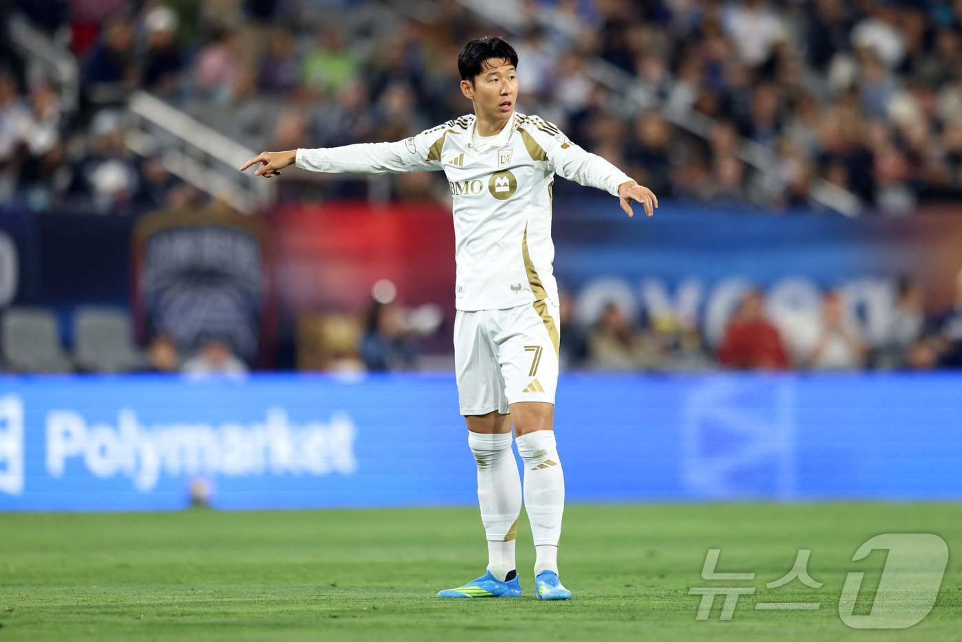 본문 이미지 - LA FC 손흥민.  ⓒ AFP=뉴스1