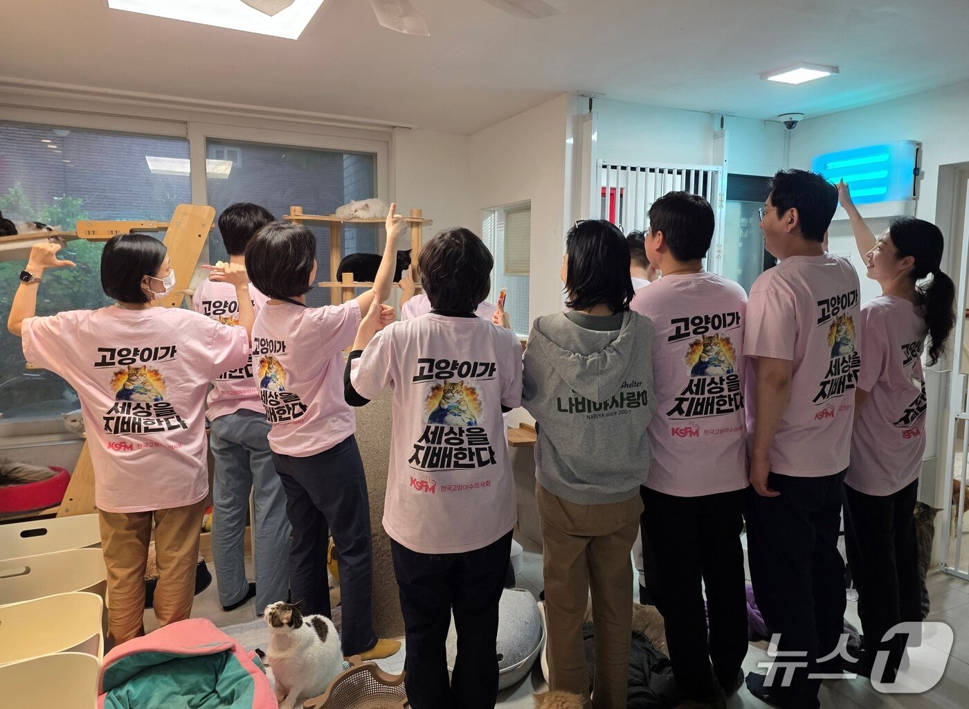 본문 이미지 - 한국고양이수의사회는 3일 나비야사랑해에서 봉사활동을 진행했다(수의사회 제공). ⓒ 뉴스1