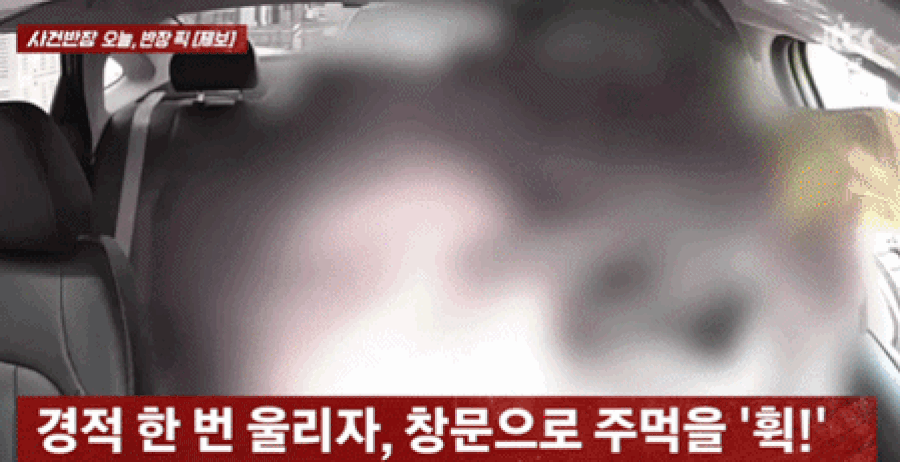 넘어질까 봐 '짧은 경적' 울렸는데…여성 기사 주먹질한 자전거 사내[영상]