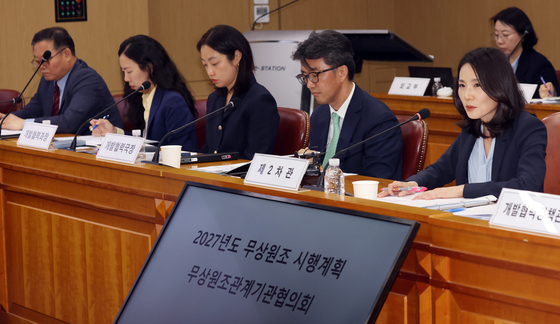 무상원조 시행계획 관계기관협의회 발언하는 김진아 차관