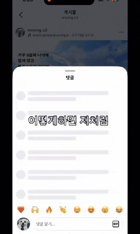 본문 이미지 - 뭉뭉이의 전업 강아지 특강 1탄(인스타그램 moong.x2 제공) ⓒ 뉴스1