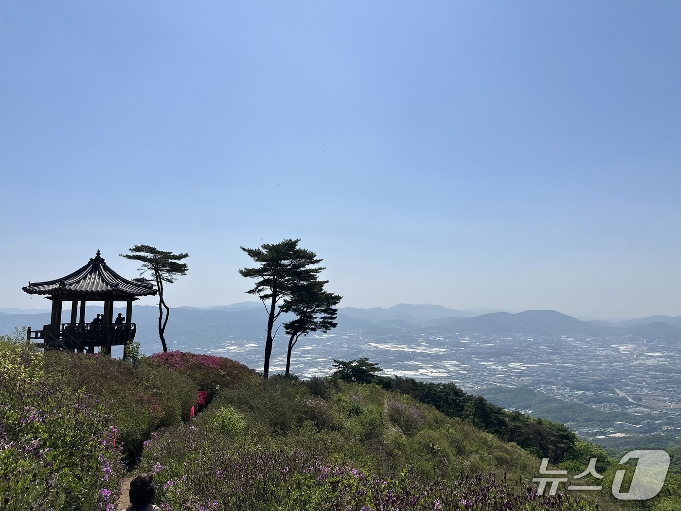본문 이미지 - 2026 동두천 코리아 50k 왕방산 정상 일대. (사진 이상휼 기자)