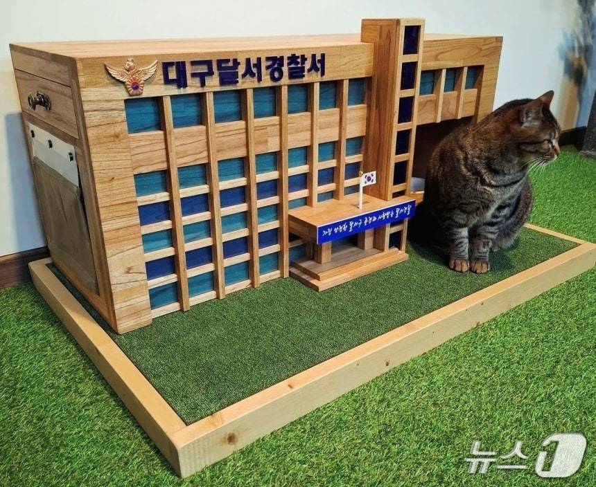 본문 이미지 - 대구달서경찰서에 설치된 길고양이 급식소(대구고양이보호연대 제공) ⓒ 뉴스1